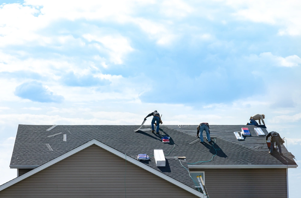 What Are Economical Options for Home Roof Renovation?