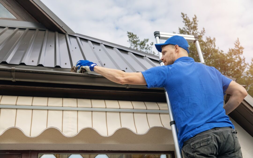 What Is the Ideal Roof Maintenance for Durability?